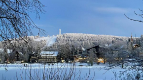 WohnungHahnenkleeLD Hahnenklee